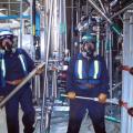 medium_servicio_2011_f29.jpg